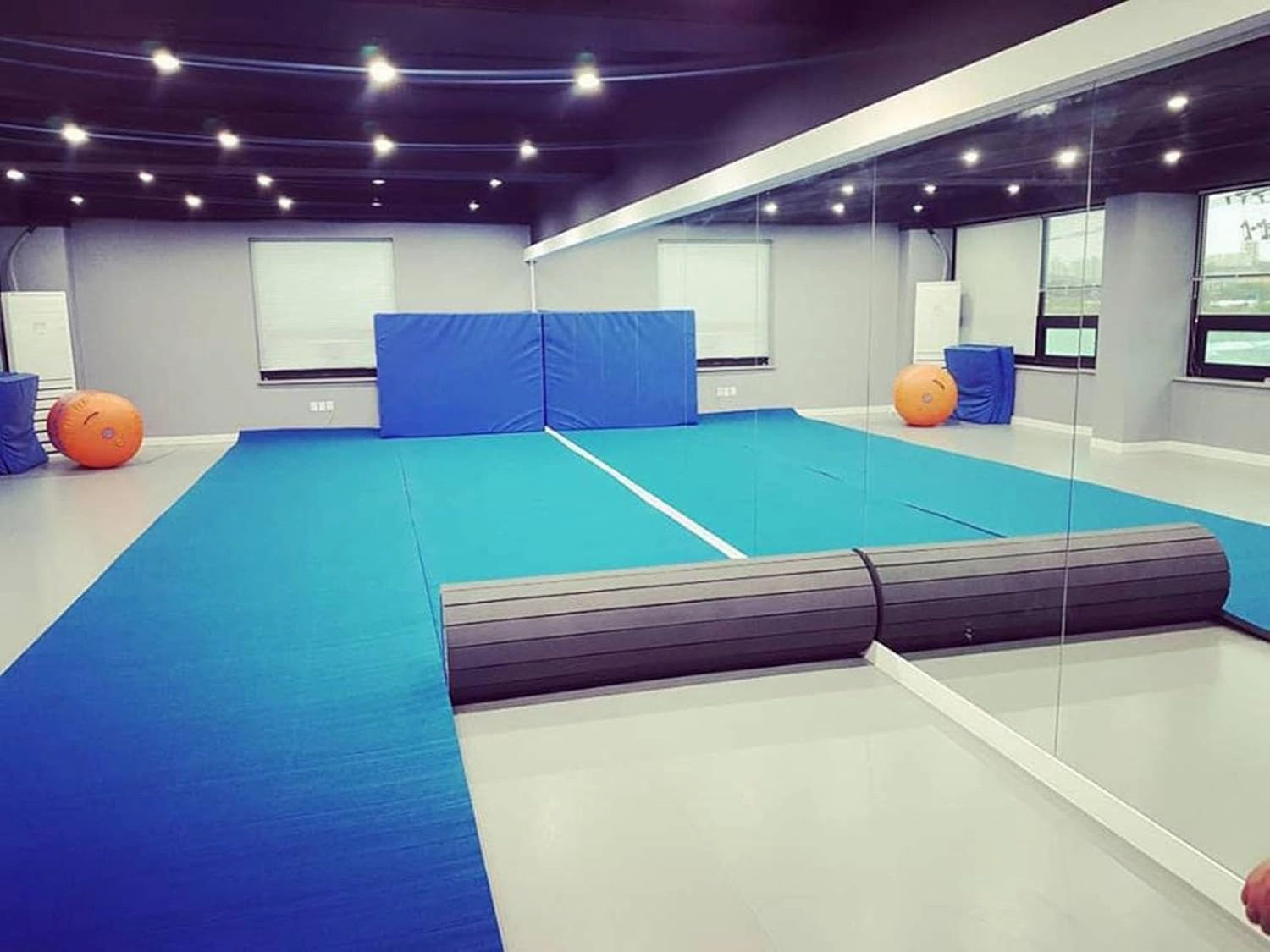 1.6"Thick High-Density Foam Gymnastics Mat - 118 x 35" Non-Slip Wrestling Mat for MMA, Home Gym, Cheerleading with Diamond-Texture Carpet Top