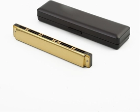 28-hole wide-range polyphonic C harmonica for adult beginners to learn to play wind instruments(Gold)