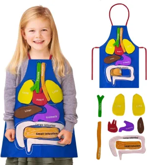 3D Organs Apron, Anatomy for Kids Apron Body Parts Organs Educational Toys, Soft Disassembled Internal Organs Plush Model for Home Preschool Teaching Aid Boy Gir
