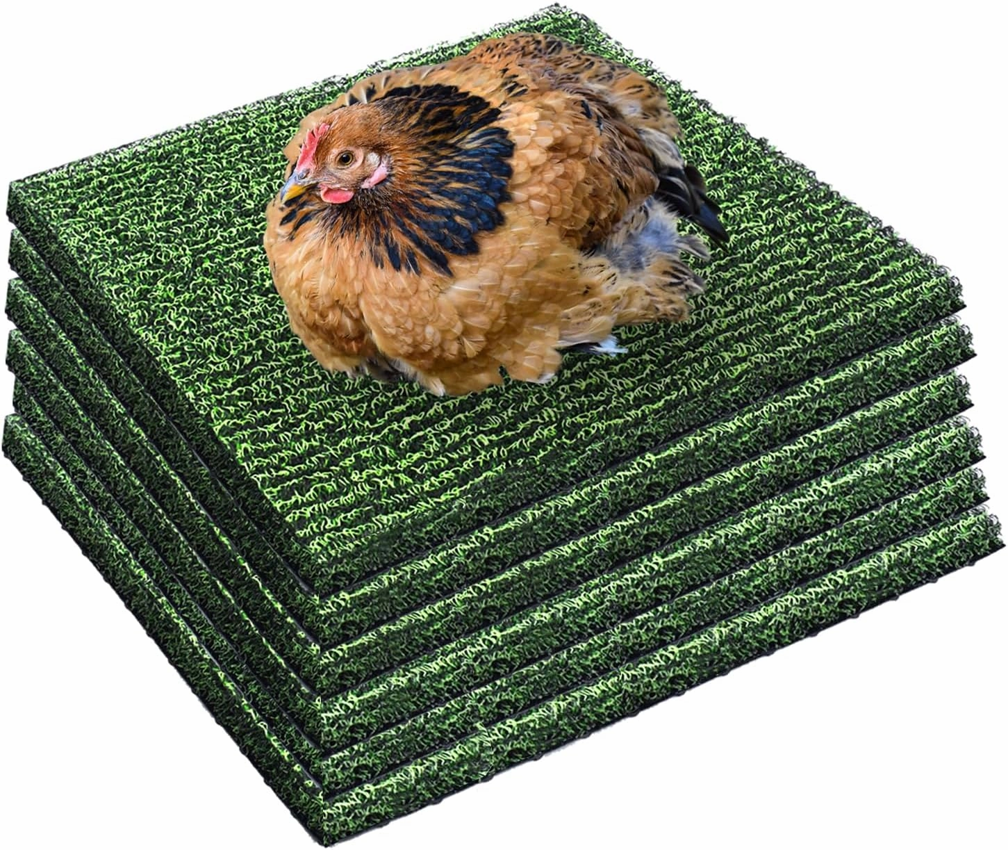6 Pack Nesting Pads for Chicken Coop 12” x 12” Chicken Nesting Pads Washable Plastic Nesting Box Pads Chicken Coop Accessories for Chicken Hen Box Laying Eggs (Green)