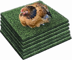 6 Pack Nesting Pads for Chicken Coop 12” x 12” Chicken Nesting Pads Washable Plastic Nesting Box Pads Chicken Coop Accessories for Chicken Hen Box Laying Eggs (Green)