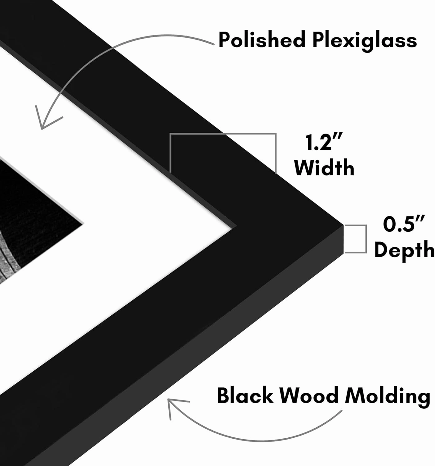 Americanflat 14x20 Picture Frame with Polished Plexiglass - Use as 11x17 Frame with Mat or Display 14x20 Photo Without Mat - Epic Collection - Wide Picture Frames for Wall Display - Black