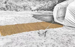 Bamboo Walkway | Wilderness Resource