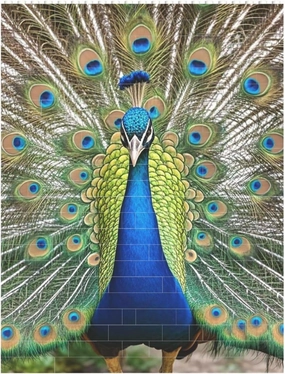 Beauty Peacock Building Block Puzzle Personalized Building Bricks for Adults Block Puzzle Building DIY Brick Block Puzzles Valentine's Day Gifts for Home Decor Brick Puzzle