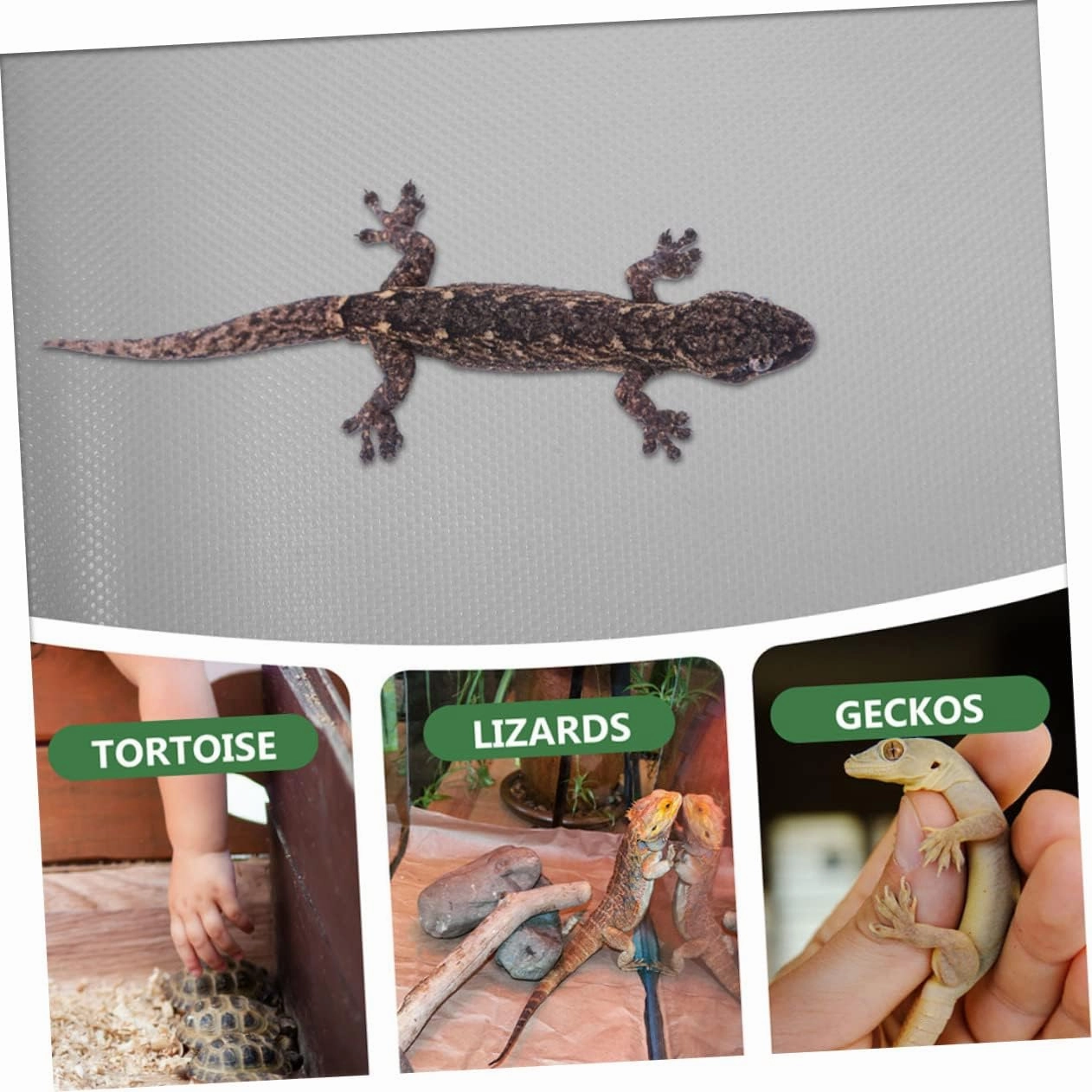 BESPORTBLE Bedding Carpet Reptile Tank Liner Eva Mat for Bearded Dragon Lizard Snake Easy to Cle