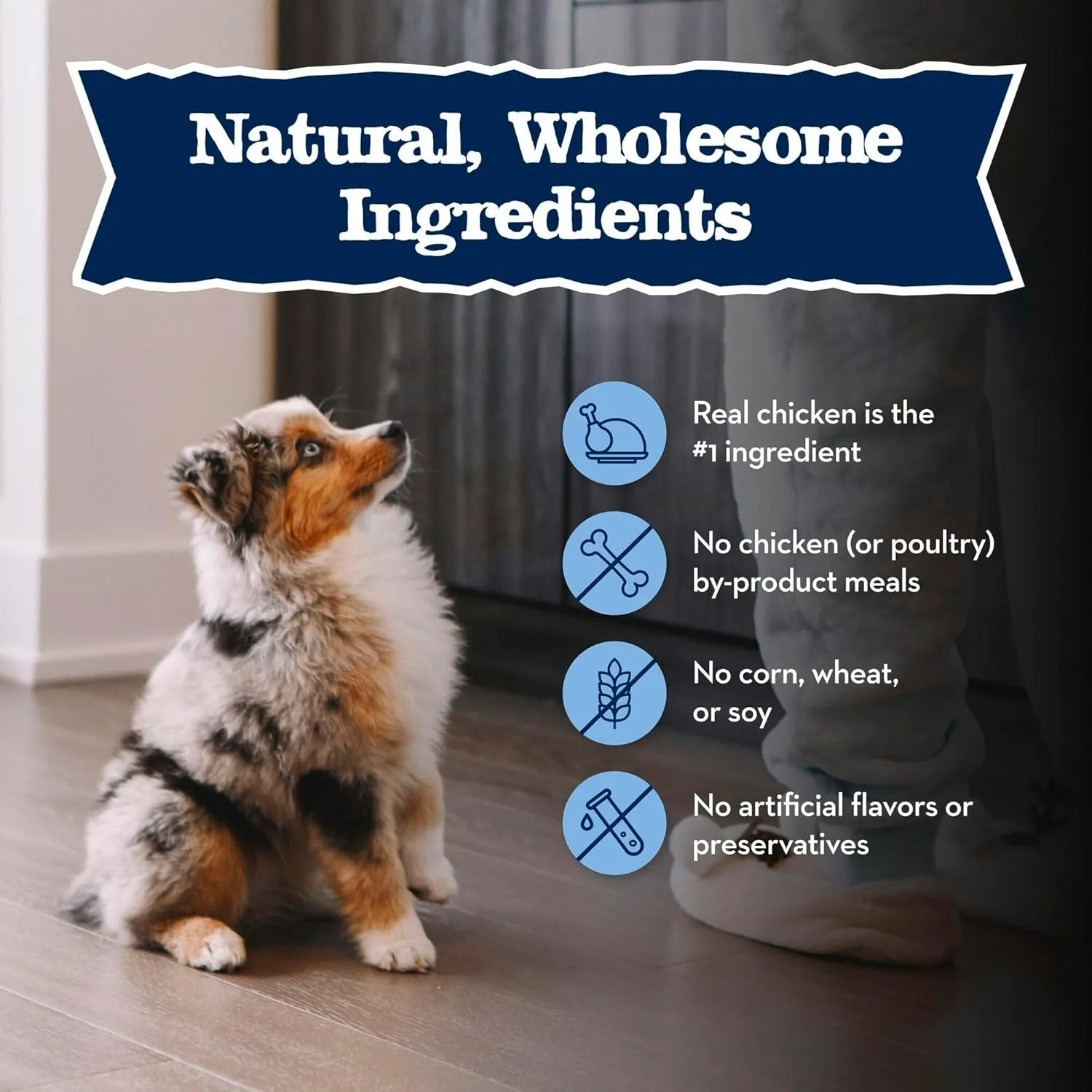 Blue Buffalo Baby Blue Natural Dry Food for Puppies, Healthy Growth Formula with DHA, Savory Chicken Recipe, 11-lb Bag