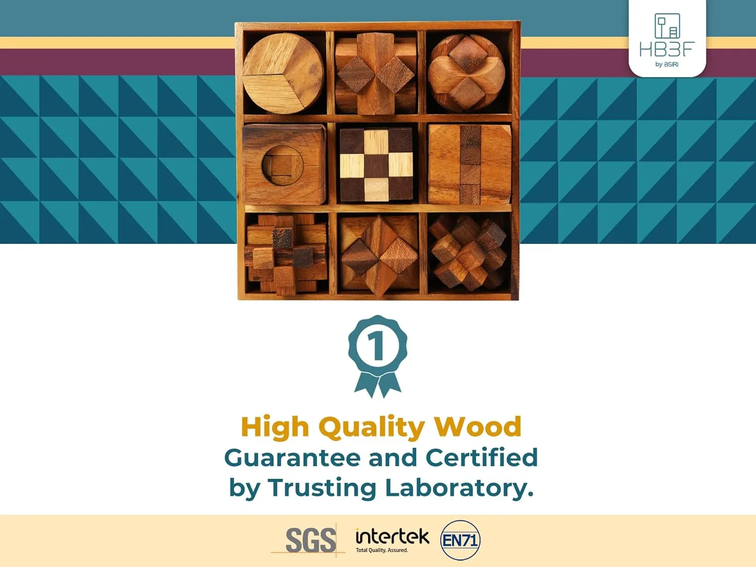 BSIRI 9 in 1 Wooden Brain Teaser Puzzles for Adults Teens and Kids Box Set for All Ages Wood Hard Level 10 Impossible Mind Games 3D Puzzle Sets for Decoration and Mini Toys.
