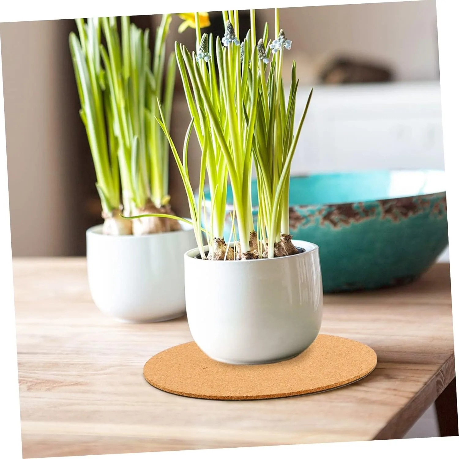 Cork Coaster Plant Saucers 5 Pack Garden Pad Cork Plant Plate Flowerpot Pad Easy Clean