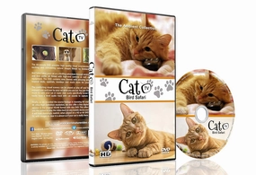 Family Cat DVD - Cat TV - Entertain your Cats with Stimulating Images of Cute Little Animals and Birds in Natural Sounds or Music