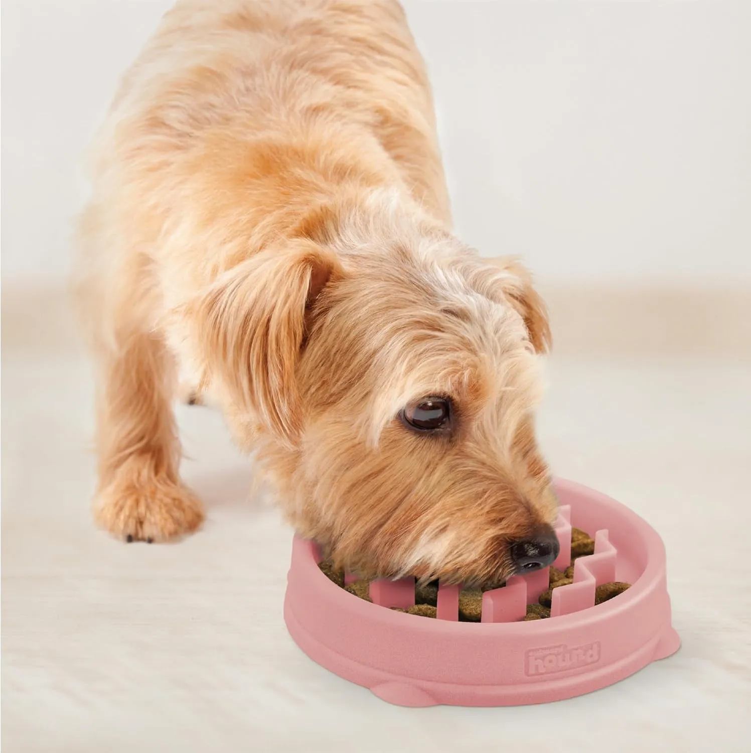 Fun Feeder Slo Bowl, Small Slow Feeder Dog Bowl, 3/4 Cups, Mini, Pink