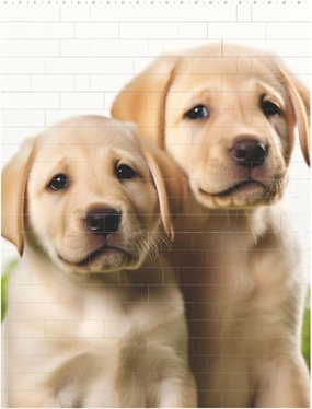 Funny Labrador Puppy Dog Building Block Puzzle Personalized Building Bricks for Adults Square Shaped DIY Brick Block Puzzles Valentine's Day Gifts for Home Decor Brick Puzzle