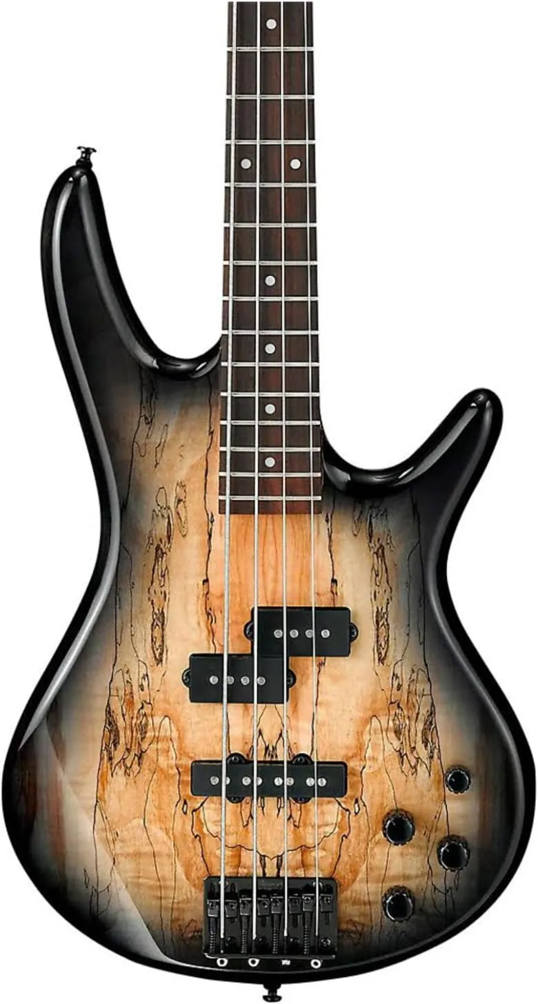 Ibanez GSR200SMNGT GIO - Spalted Maple Top Natural Grey Burst