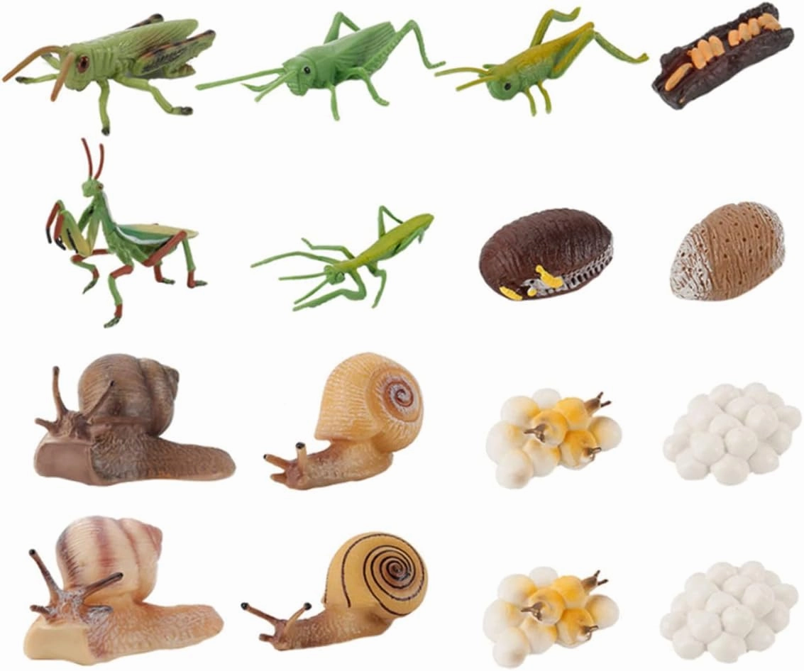 Kisangel 16Pcs Animal Model for Educational Display Models for Science Cognition Random Color Figurines to Inspire Imagination and Natural Science Curiosity Random Color