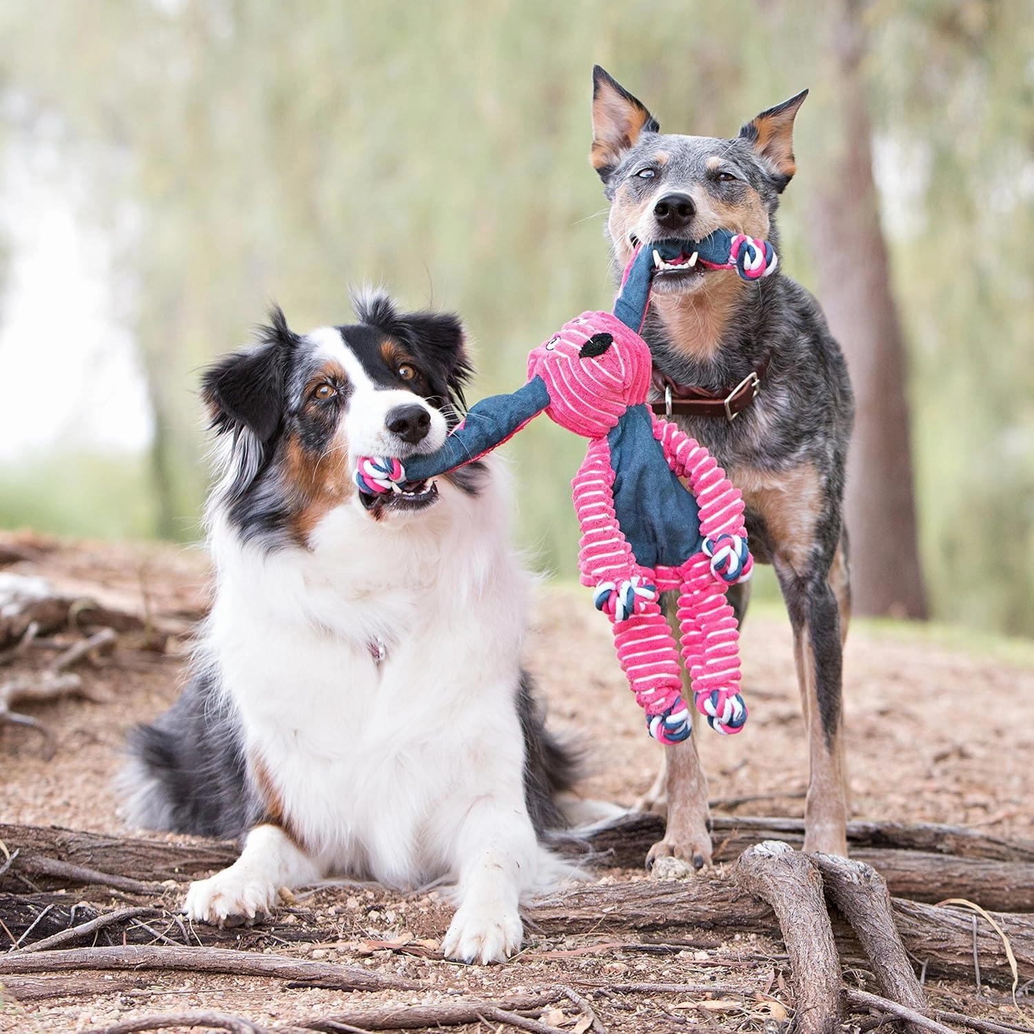 KONG - Floppy Knots Fox - Internal Knotted Ropes and Minimal Stuffing for Less Mess - For Small/Medium Dogs