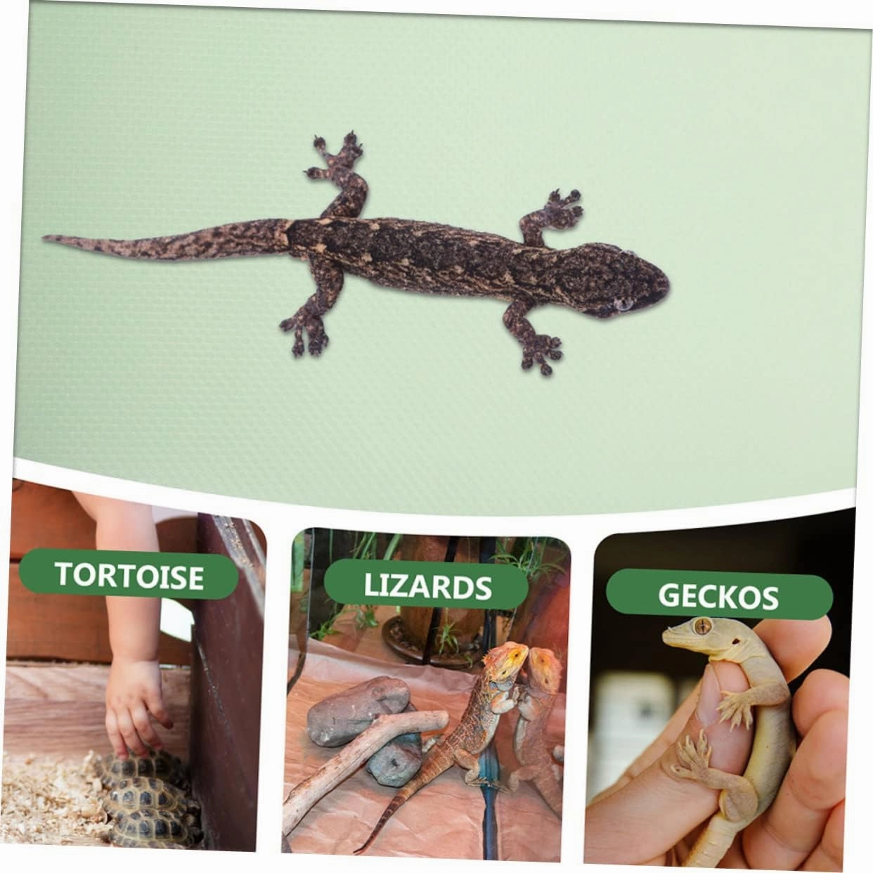 Large Reptile Carpet Mat Reptile Crawler Bedding Eva Material Snake Bedding Bearded Dragon Tank Background Liner 45x150cm Green