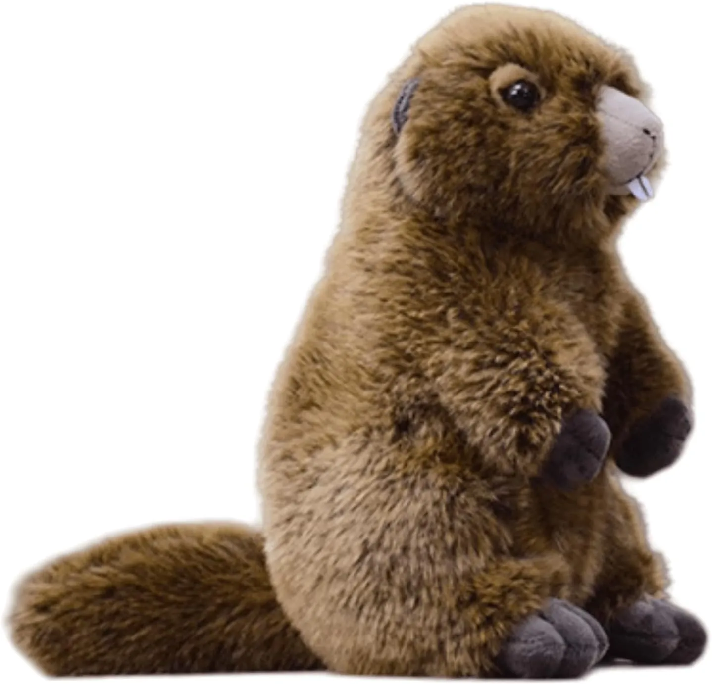 lilizzhoumax Realistic Groundhog Plush,Super Soft Groundhog Plush,Girl Toys,Gift for Kids Brown 9 inch