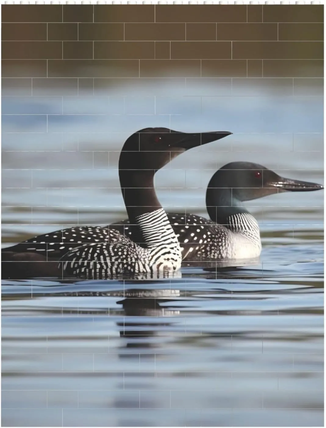 Loon Birds Building Block Puzzle Personalized Building Bricks for Adults Block Puzzle Building DIY Brick Block Puzzles Valentine's Day Gifts for Home Decor Brick Puzzle