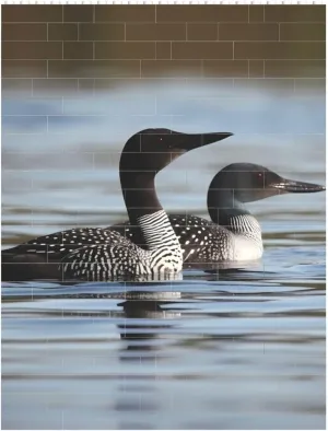 Loon Birds Building Block Puzzle Personalized Building Bricks for Adults Block Puzzle Building DIY Brick Block Puzzles Valentine's Day Gifts for Home Decor Brick Puzzle