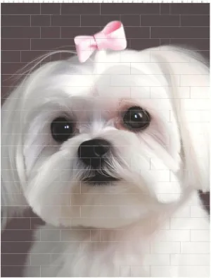 Lovely Maltese Dog Building Block Puzzle Personalized Building Bricks for Adults Square Shaped DIY Brick Block Puzzles Valentine's Day Gifts for Home Decor Brick Puzzle
