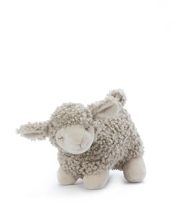 Lucy The Lamb