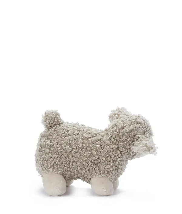 Lucy The Lamb