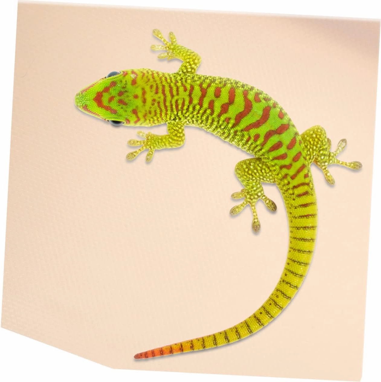Milisten Bearded Dragon Bedding 45x150cm Reptile Carpet Snake Terrarium Liner Eva Material Non-Slip Gecko Tank m