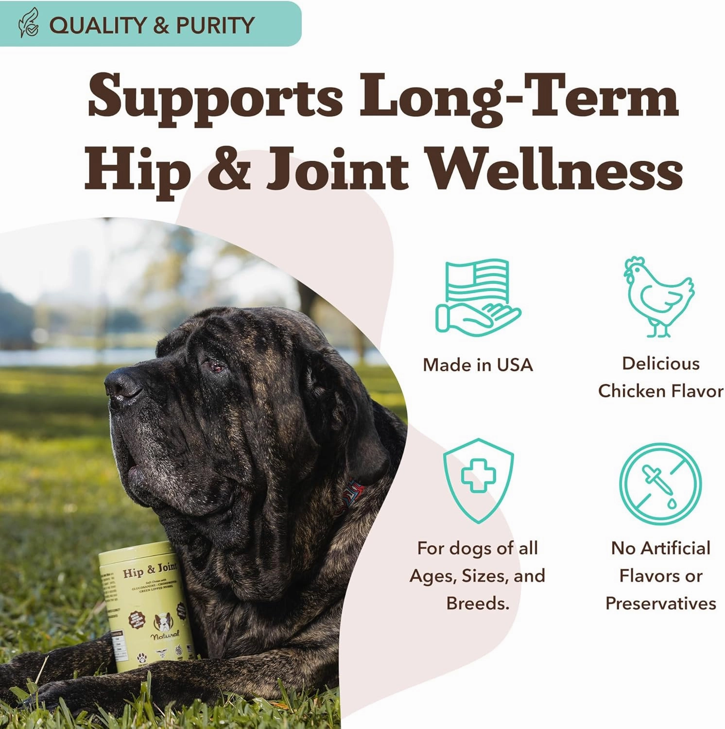 Natural Dog Company Hip & Joint Chews for Dogs with Glucosamine for Dogs   Chondroitin, MSM & Turmeric, Supports Mobility & Reduces Discomfort, Stiffness, Natural Pain Relief Joint Supplement. 180 Ct