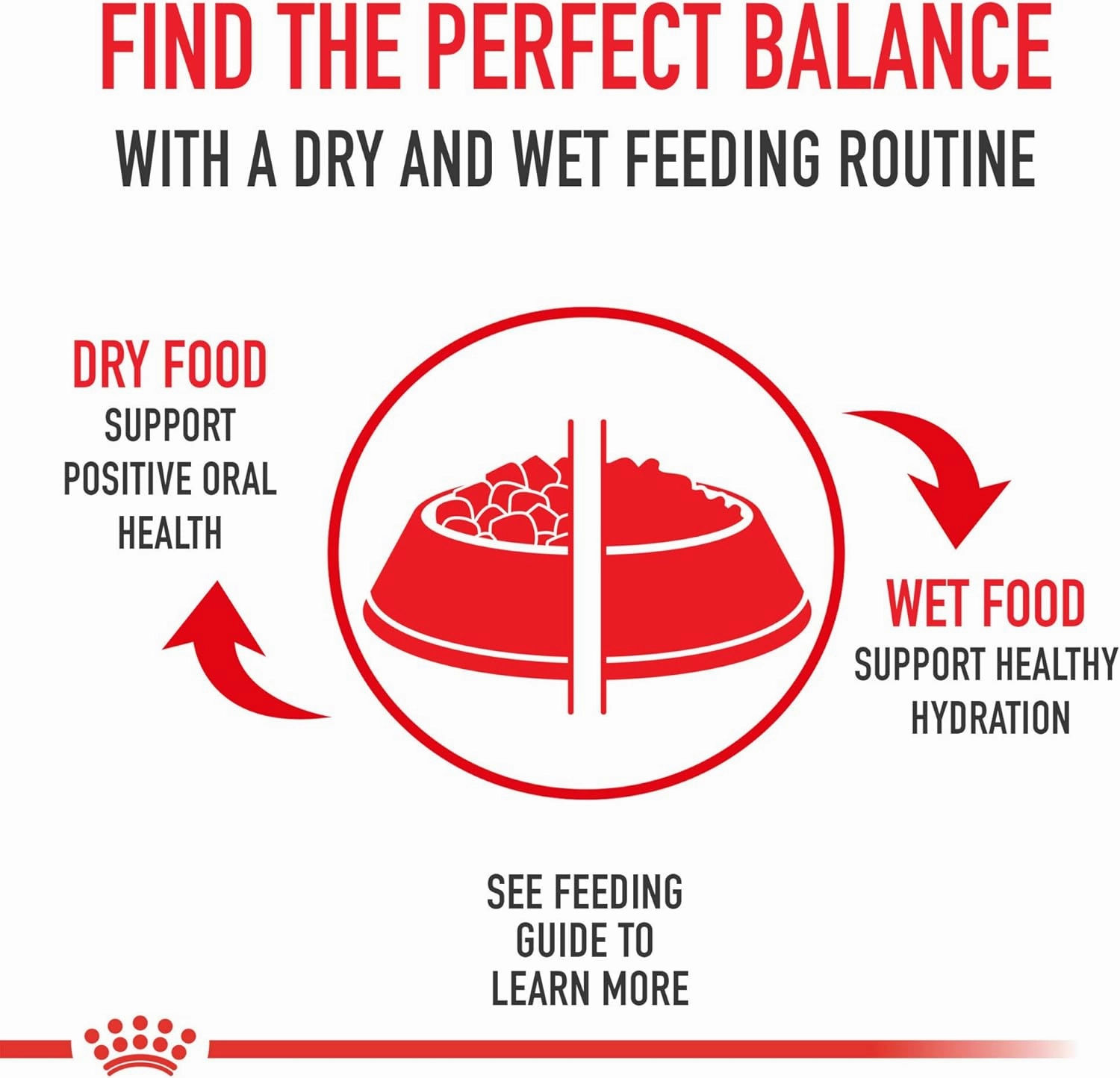 Royal Canin Breed Health Nutrition Dachshund Teckel 8  Adult Dry Dog Food, 3 lb bag