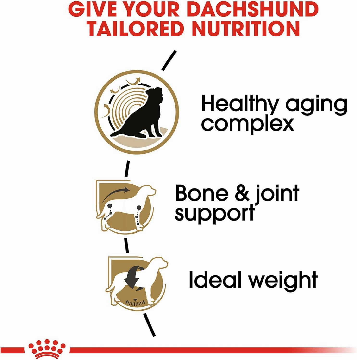 Royal Canin Breed Health Nutrition Dachshund Teckel 8  Adult Dry Dog Food, 3 lb bag