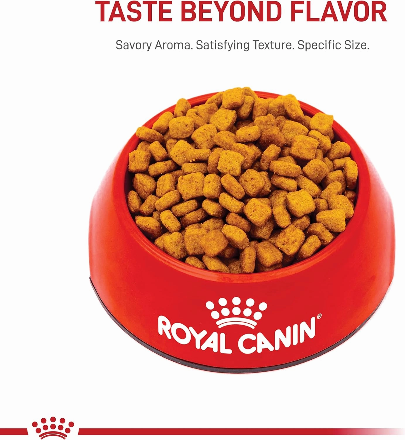 Royal Canin Breed Health Nutrition Dachshund Teckel 8  Adult Dry Dog Food, 3 lb bag