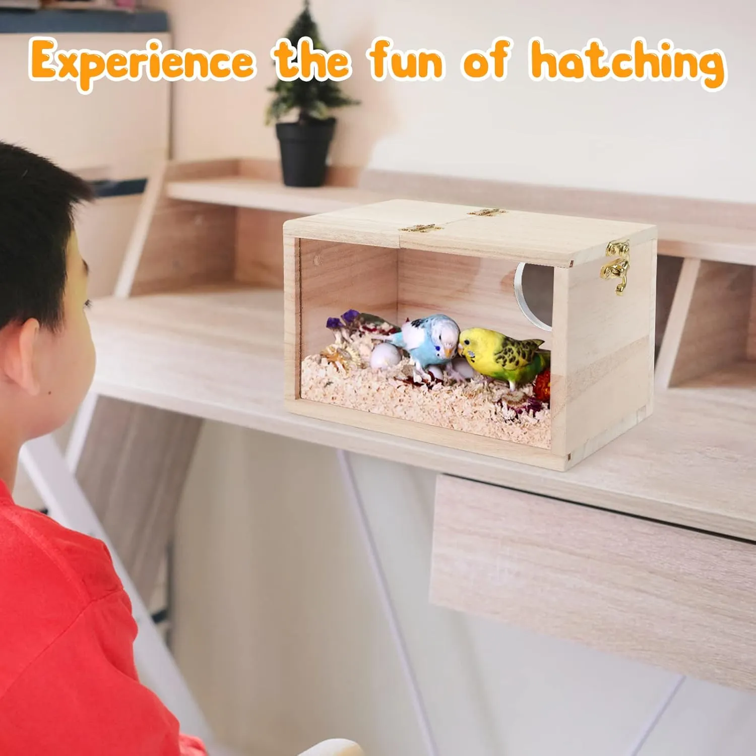 Rypet Parakeet Nesting Box Transparent Design, Thwartwise Bird Nest Breeding Box with Perch Wood Bird Cage House for Cockatiel Lovebirds Budgie Finch Parrotlets Canary S