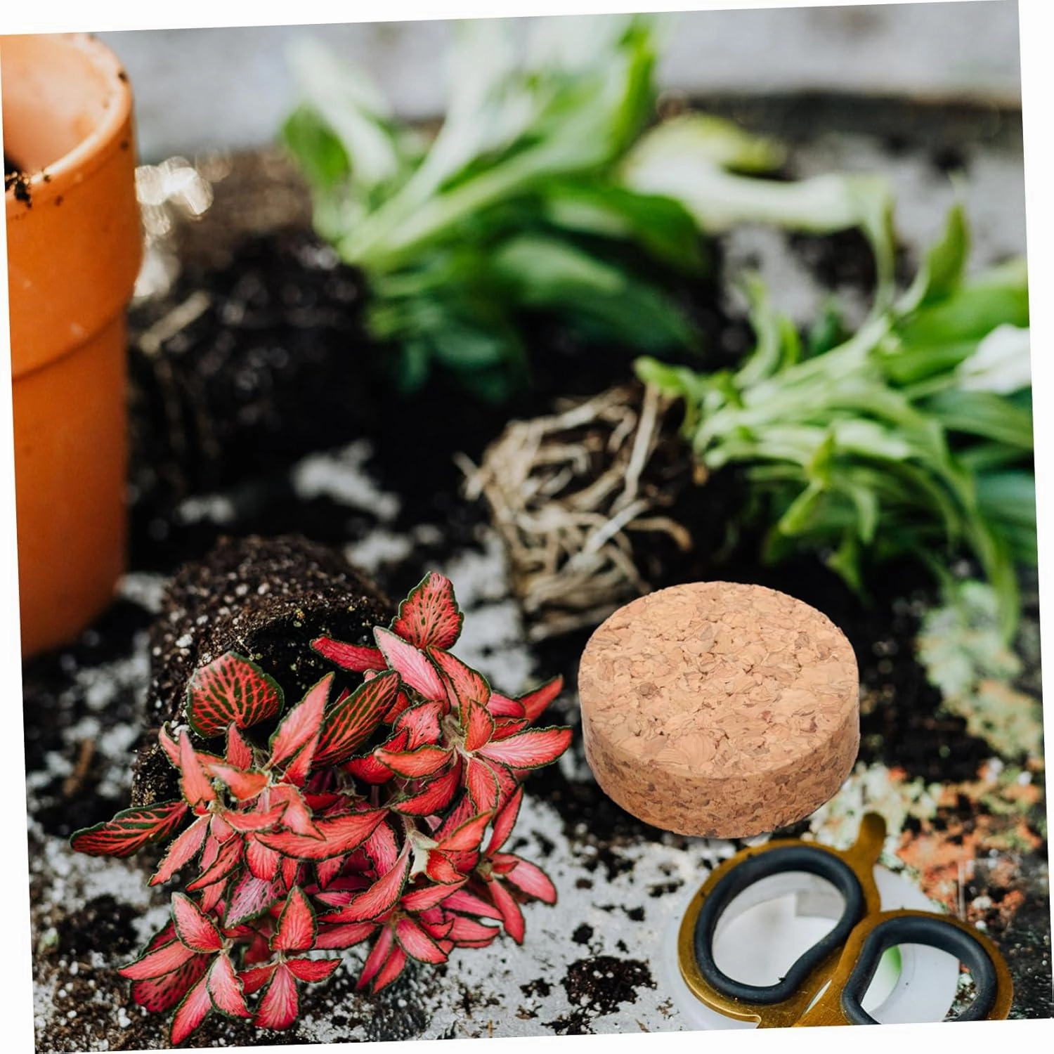 Sets Cork Coasters for Home Plant Pot Bottom Holder Round Cork Mat Anti-Skid Planter Mat Decorative Trivets Pcs