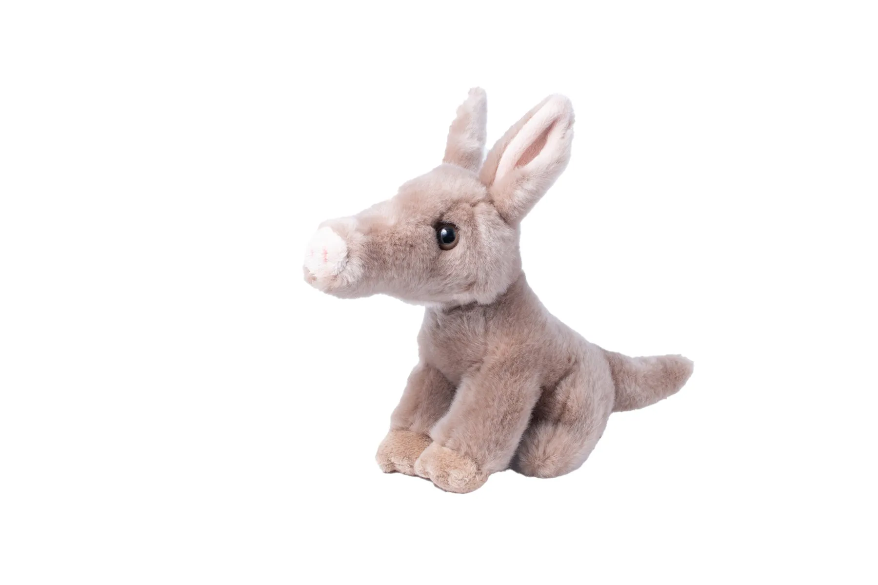 Sitting Aardvark