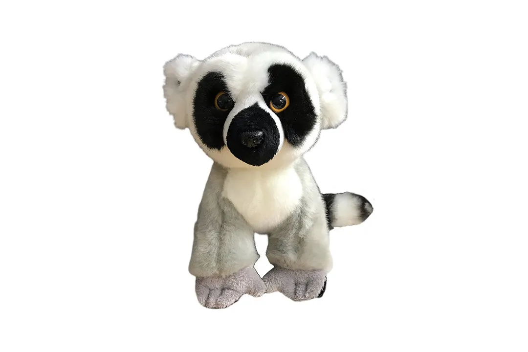Sitting Ring-tail Lemur
