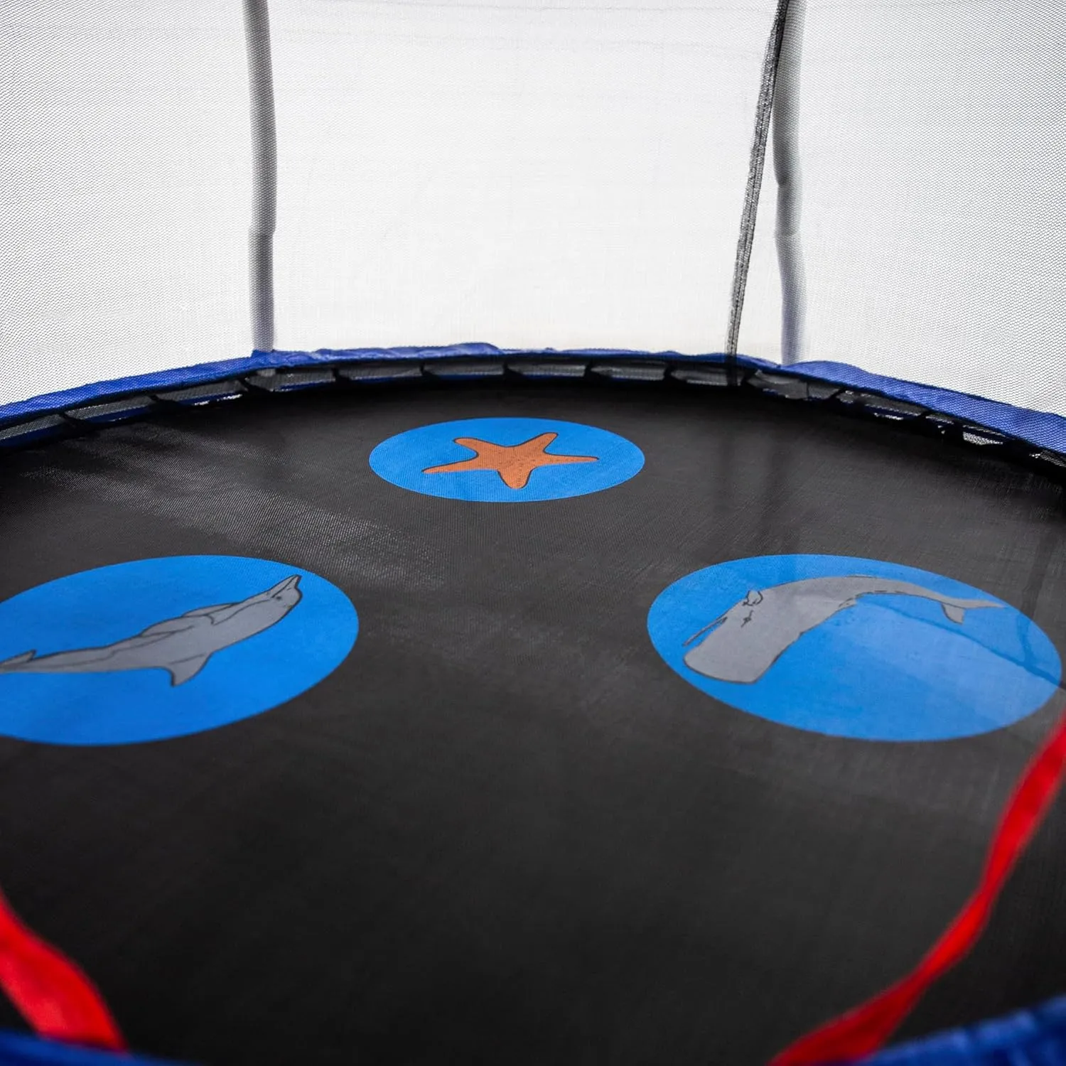 Skywalker Trampolines Mini Trampoline with Enclosure Net