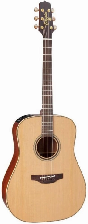 Takamine P3D - Natural Satin