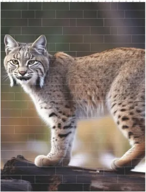 Wild Bobcat Building Block Puzzle Personalized Building Bricks Block Puzzle Building Family Keepsake DIY Brick Block Puzzles Valentine's Day Gifts for Home Decor Brick Puzzle