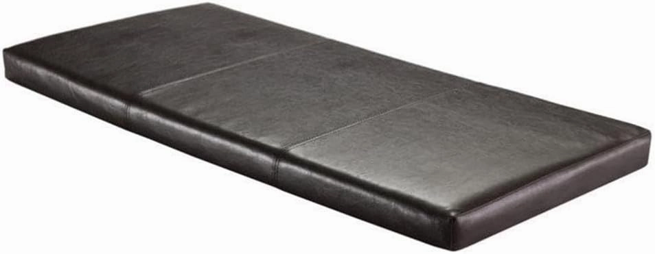 Winsome Paige Bench Cushion, Espresso, 1 Count (Pack of 1)