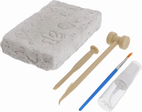 YARNOW 1 Set Natural Mineral Excavation Educational Digging for Hands Learning for Young Geologists and Stone Collectors Fun Discovery Experience with Mineral Specimens